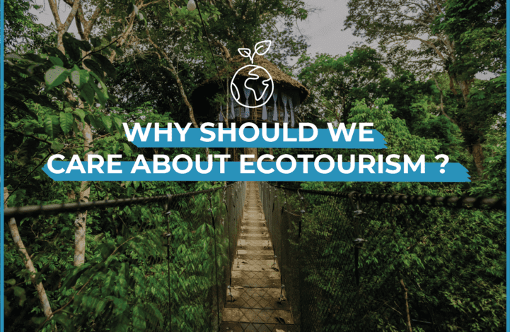  Eco-Tourism: Sustainable Travel and Conservation Efforts
